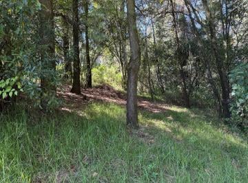 Terreno / Lote · 31064m² · Venta de Terreno Sobre Carretera, Santa Maria Mazatla.