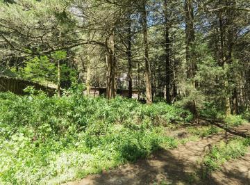 Terreno / Lote · 2645m² · Terreno en Venta en Ex - Hacienda Jajalpa
