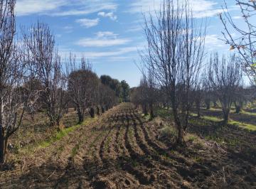 Terreno comercial · 9847m² · Venta de Terreno en Las Faldas del Iztaccihuatl - (4)