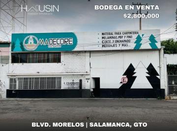 Terreno / Lote · 259m² · Bodega en Renta, Morelos #1007, Salamanca, Gto.