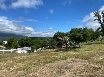 Quinta de 1 habitación, Montemorelos · Terreno con Palapa y Servicios Valle Venado