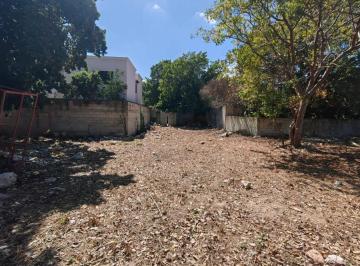 Terreno / Lote · 800m² · Terreno en Venta en Mérida, San Damian 800 m²
