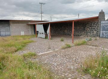 Inmueble productivo urbano en Renta  Poxtla · ¡Terreno en Renta en Poxtla, Ayapango, Estado de México!