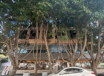 Oficina , Miguel Hidalgo · Oficinas Boutique en Renta en Sierra Gamon, Lomas de Chapultepec