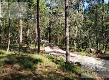 Terreno / Lote · 2200m² · Terreno - Huasca de Ocampo