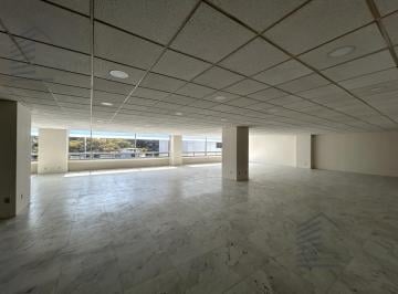 Oficina · 194m² · 3 Estacionamientos · Oficina en Renta - Hamburgo - 194.01 m² - Piso 3