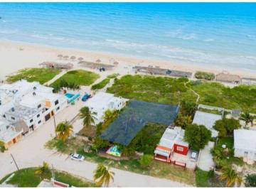 Terreno / Lote , Hunucmá · Terreno en Venta Frenta Al Mar en El Pueblo Magico de Sisal, Hunucma Yucatan