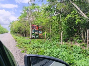 Terreno / Lote , Tulum · Lotes de 5 Hectáreas Perfectos Para Inversión Turística o Ganadera