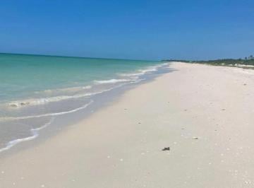 Terreno / Lote , Hunucmá · Terreno en Venta Mérida|frente Al Mar| Sisal Yucatán | 3,761 m²