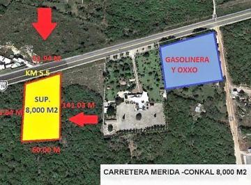 Terreno / Lote · 8000m² · Terreno de 8000 m² Sobre Carretera Mérida - Motul en El Km 5.5