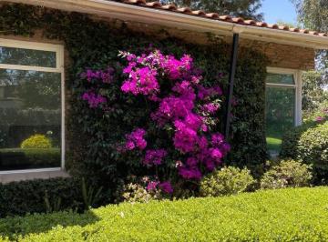 Casa · 550m² · 4 Recámaras · Residencia Ejecutiva en Renta en Lomas Hipódromo