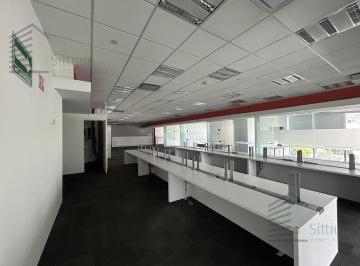 Oficina · 393m² · 13 Estacionamientos · Oficina en Renta - Anzures - Piso 4 - 393 m²