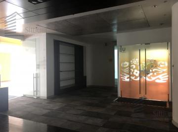 Oficina · 237m² · 6 Estacionamientos · Oficina en Renta - Arcos Bosques II - Piso 5 - 237 m²