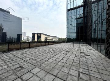 Oficina · 735m² · 19 Estacionamientos · Oficina en Renta Polanco - Piso 1 - 735 m²