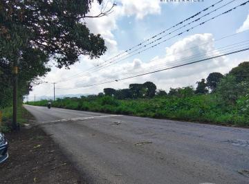 Terreno / Lote · 10000m² · Terreno en Venta Potrero Viejo, Ver