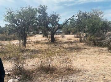 Terreno / Lote · 1000m² · Terreno Campestre en Venta - Salida a Lagos de Moreno