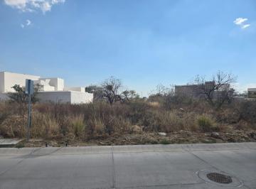 Terreno / Lote · 250m² · Terreno en Venta en Lomas V, El Molino Residencial
