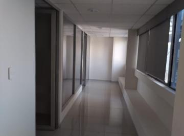 Oficina · 168m² · 1 Estacionamiento · Oficina en Renta en Anzures