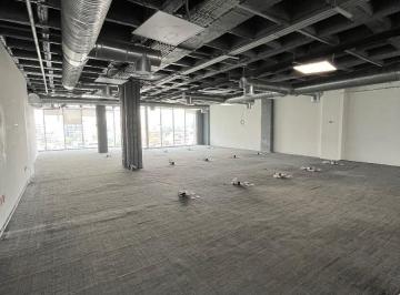 Oficina · 370m² · 6 Estacionamientos · Oficina en Renta de 350 M&sup2;!