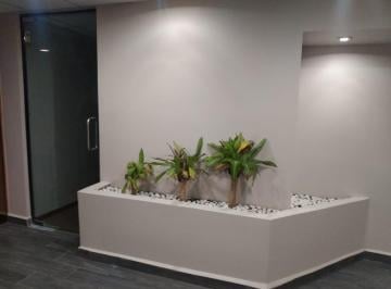 Oficina · 518m² · 5 Estacionamientos · Oficina en Renta en Anzures