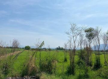 Terreno / Lote · 13673m² · Terreno en Jojutla de Juárez Centro