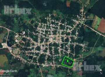 Terreno / Lote · 39983m² · Se Vende Amplio Terreno en Dzibalchén en El Municipio de Hopelchén, Campeche