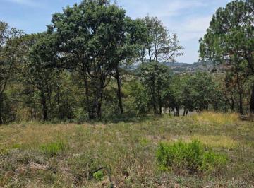 Terreno / Lote , Mazamitla · Terreno de 1000 m² en Venta, Epenche Chico