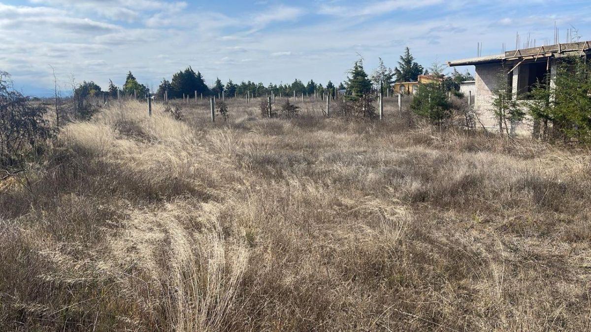 Land for Sale in Puente de Doria, Huasca