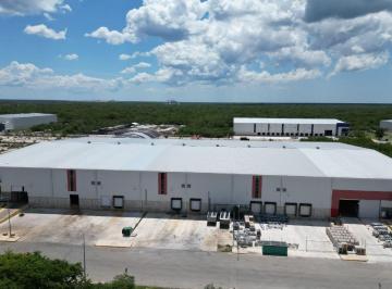 Bodega-Galpón · 6000m² · Nave Bodega Industrial Desde 2,000 Hasta 6,000 m² en Central Business Park Merdia - (4)
