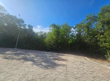 Terreno / Lote · 350m² · Terreno en Fraccionamiento Ciudad Mayakoba