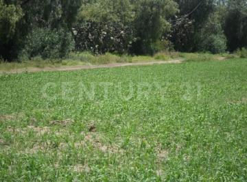 Terreno / Lote · 8181m² · Venta Terreno, Caltepa Primero, Otumba, Estado de México