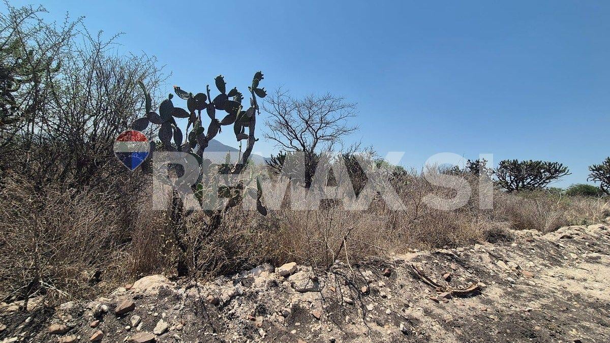 Commercial Land for Sale in Real de Los Cues