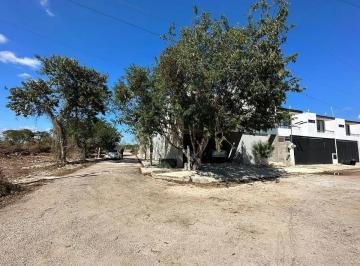 1 · Terreno de 450.07 m² en Venta en Dzitya