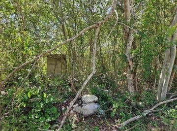 1 · Terreno de 4000 m² en Venta en Fracc. San José Kuche