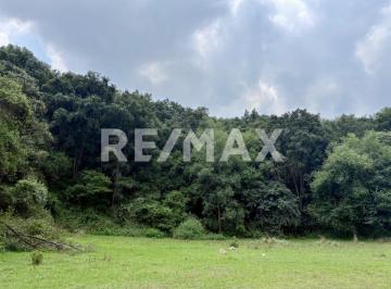 Terreno / Lote · 8000m² · Terreno en Venta Jilotzingo, Espíritu Santo - (4)