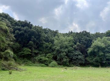 Terreno / Lote · 8000m² · Terreno en Venta Jilotzingo, Espíritu Santo - (4)