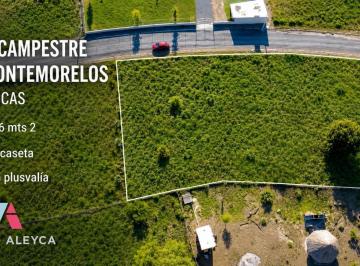 Terreno / Lote · 1546m² · Terreno - Montemorelos