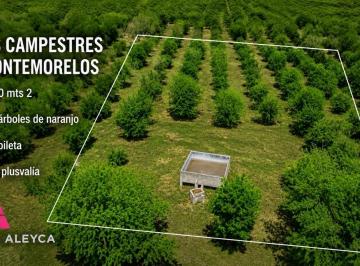 Terreno / Lote · 4790m² · Terreno - Montemorelos