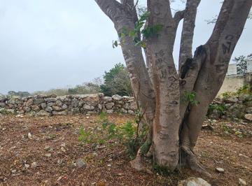 Terreno / Lote · 6129m² · Terreno en Venta Zona Xmatkuil