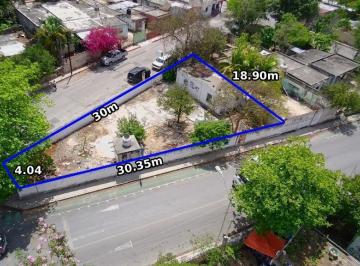 Terreno / Lote · 300m² · Terreno en Renta Sobre Av Comercial