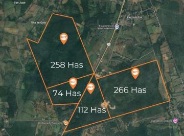 Rancho · 7110000m² · Rancho de 711 Has con Frente a Carretera Nacional