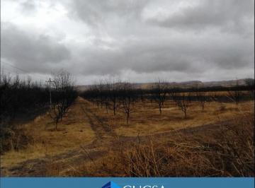 Rancho · 33000m² · Huerto Nogalero en San Buenaventura