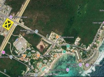 Terreno / Lote · 4237m² · Oportunidad! Terreno en Venta Carretera en Akumal P1325