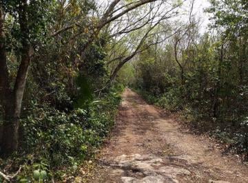 calle · Gran Lote con Cenote en Venta Leona Vicario C1939