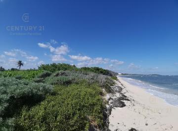 Terreno / Lote · 2000m² · Terreno Frente Al Mar en Venta en Mahahual con 20 m de Playa | P2699