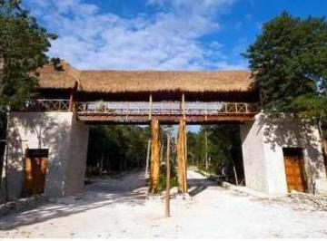 Terreno / Lote · 10000m² · Excelente Predio 1 Hectárea Dentro de Fraccionamiento Cerrado Riviera Maya P2780