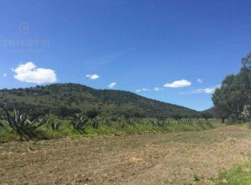 Terreno / Lote · 54165m² · En Venta 2 Terrenos en Jolalpán, Municipio de Tepetlaoxtoc, Texcoco, Edo. de México. C3021