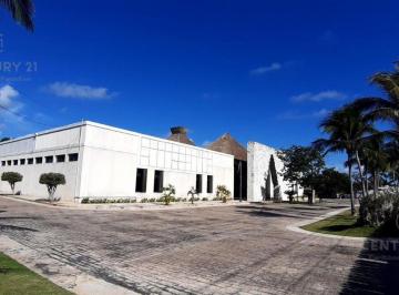Local comercial · 2000m² · 30 Estacionamientos · Terreno con 2 Locales/bodegas en Renta en La Carretera en Tulum P3405