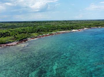 Terreno / Lote · 640000m² · Lote Hotelero en Venta Frente Al Mar en Playa del Carmen | Proyecto Turístico de Alto Nivel | P3758