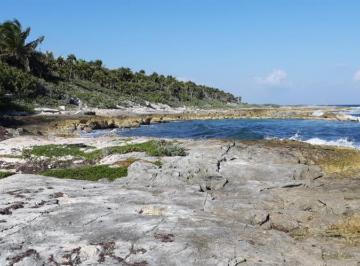 Terreno / Lote · 200000m² · Lote en Venta Frente Al Mar en Playa del Carmen con 20 Hectáreas | P3754